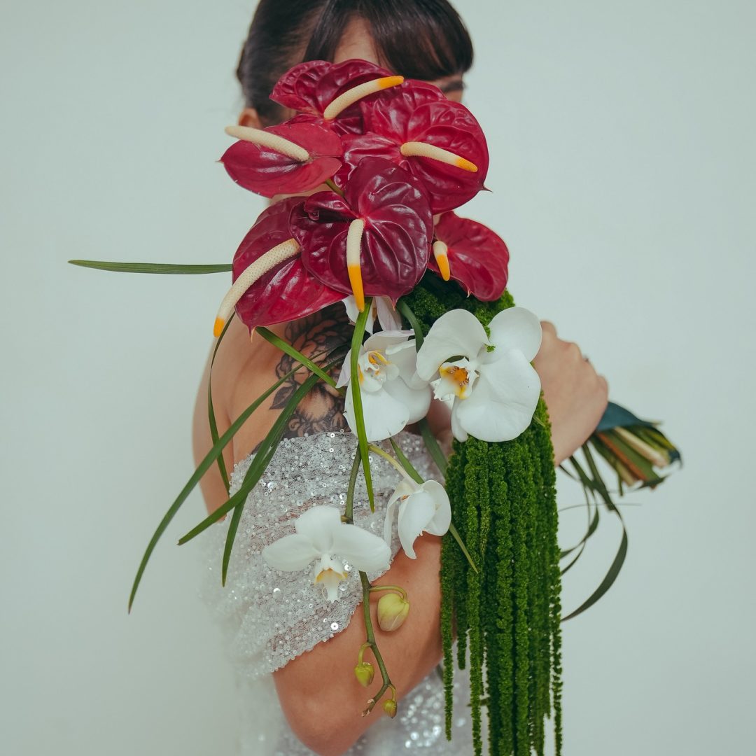 500462272_1249003357233165_5455277400968960068_n